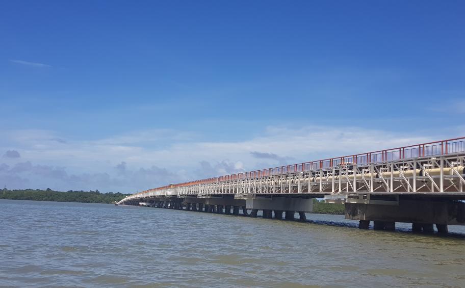 Guyana: Eiffage Métal replaces the Larivot footbridge