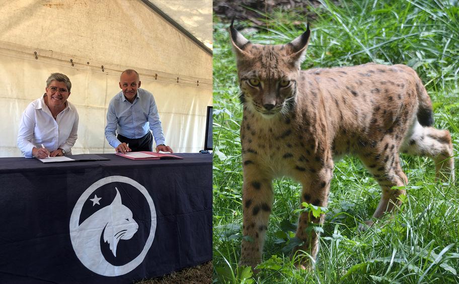 APRR signe une nouvelle convention de mécénat pour la préservation du lynx