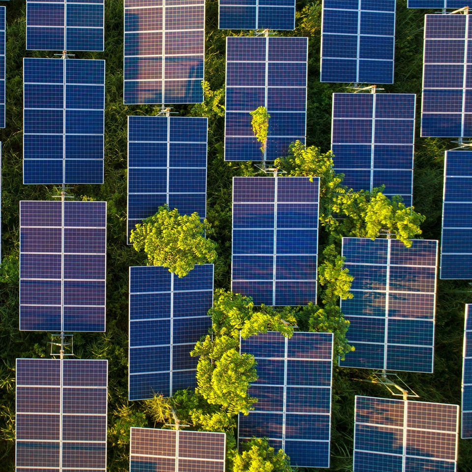 Photo de panneaux photovoltaïques