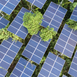 Photo de panneaux photovoltaïques