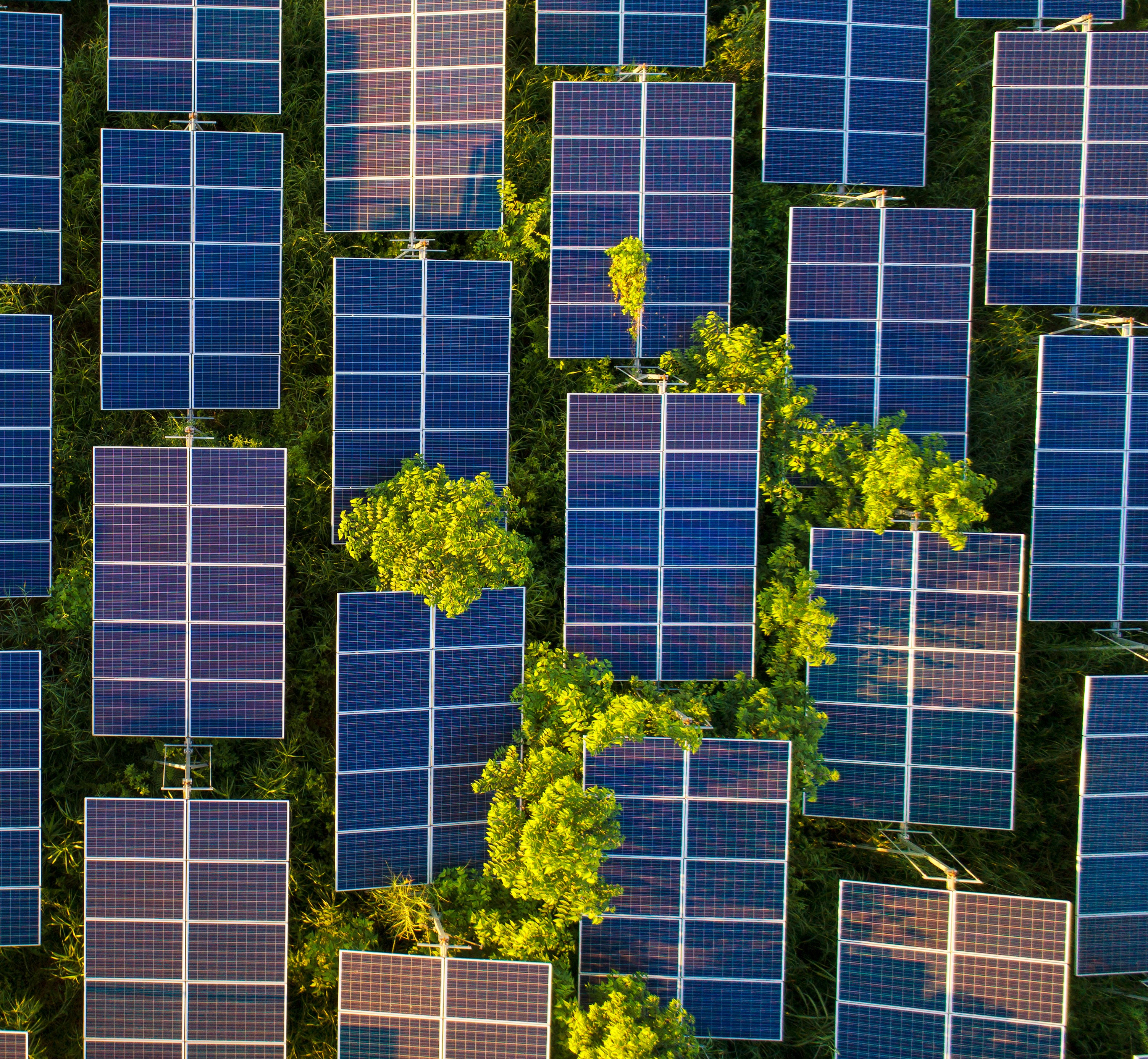 Photo of photovoltaic panels